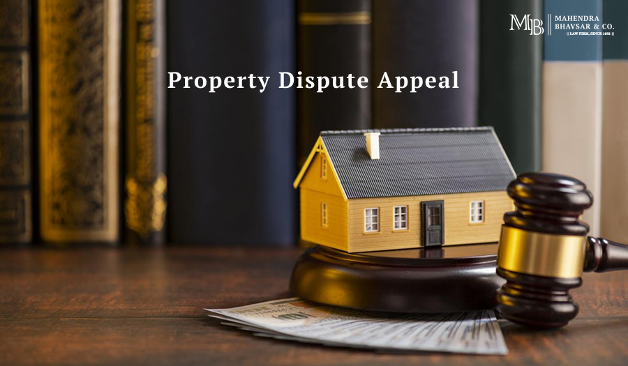 Property Dispute